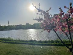 -西海子公园