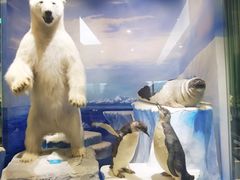 -国家自然博物馆