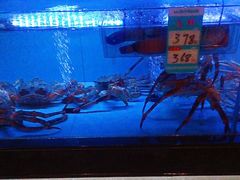 -阿伟海鲜楼·福建菜(延寿店)