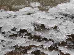 -丁香湖公园