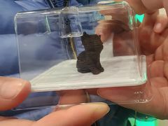 -歌斐颂巧克力小镇