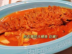 -阿五黄河大鲤鱼(纬三路店)