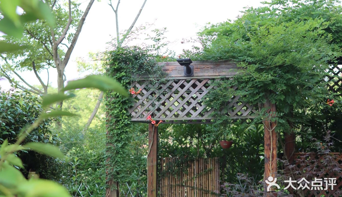 逃离城市|开车一小时到崇明去烧烤