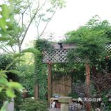 逃离城市|开车一小时到崇明去烧烤