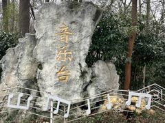 -音乐台