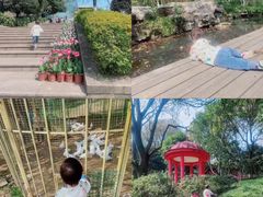 -南山植物园