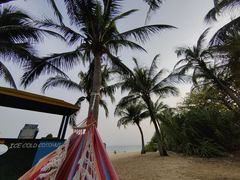 -龙泉人椰子鸡.糟粕醋.海南菜(三亚旗舰店)