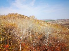 -塞罕坝国家级自然保护区