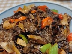 -京北渔家傲