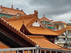 -深圳仙湖植物园