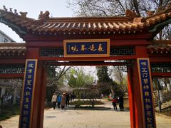 -桃花堤公园