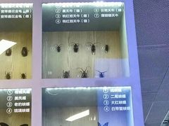 -下渚湖国家湿地公园科普馆