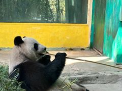 -杭州野生动物世界