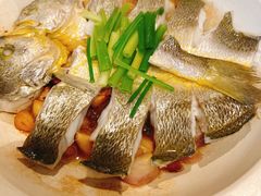 砂锅大黄花-添福来墨鱼饺子 · 海鲜东北菜(泡崖店)