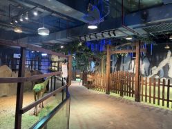 -酷嗒动物文化乐园(cutezoo西溪乐天城店)