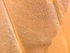 -赵记煎饼卷大葱(东岳店)