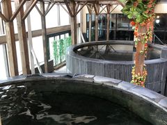 -嘉佑温泉水世界