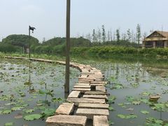 -乌村