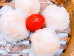 龙腾虾饺皇-海龙阁酒家·37年老字号粤菜(保利广场店)