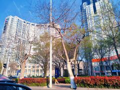 -五四广场