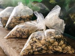 生蚝-蚝乡农庄(铁涌赤岸店)