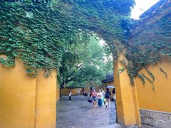 -西园戒幢律寺