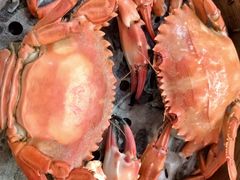 -马哥孛罗咖啡厅·Cafe Marco (厦门马哥孛罗东方大酒店)