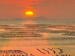 -枸杞岛