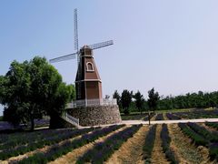 -渔岛海洋度假区