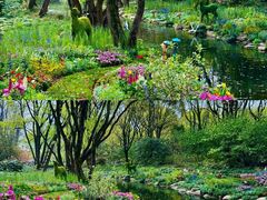 -上海共青森林公园