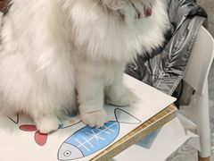 -小时光咖啡馆(北锣鼓巷店)