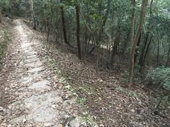 -雁荡山三折瀑景区