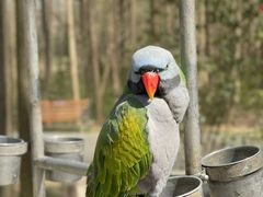 -昆山城市生态森林公园