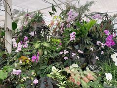 -上海鲜花港