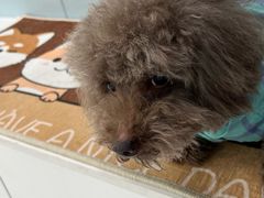 -纳吉亚猫专科动物诊疗中心(蒋宅口分院)