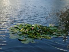 -海底捞火锅(威高广场店)