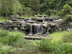 -东莞植物园