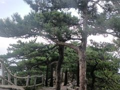 -罗田薄刀峰风景区