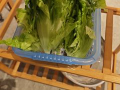 -渔顺生·顺德鱼生·粥底火锅·桑拿鸡(渔人码头店)