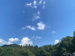 -杭州少年儿童公园