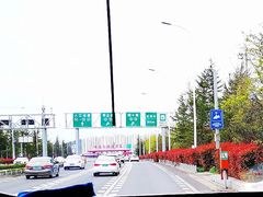 -胶州湾海底隧道