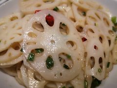 -壹盏灯(惠农店)