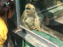 -西安秦岭野生动物园