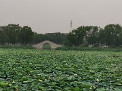 -亲兄弟真人CS团建拓展基地