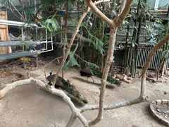 -呀路古热带植物园