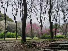 -蠡湖大桥公园