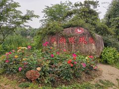 -鹅湖玫瑰文化园