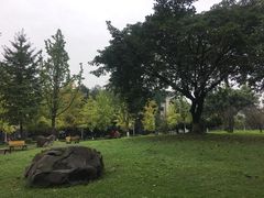 -四川大学(望江校区)