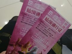门票 还送歌帝梵券-爱丽丝冒险奇遇记
