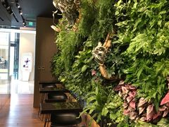 -Seesaw Coffee(环贸iapm店)